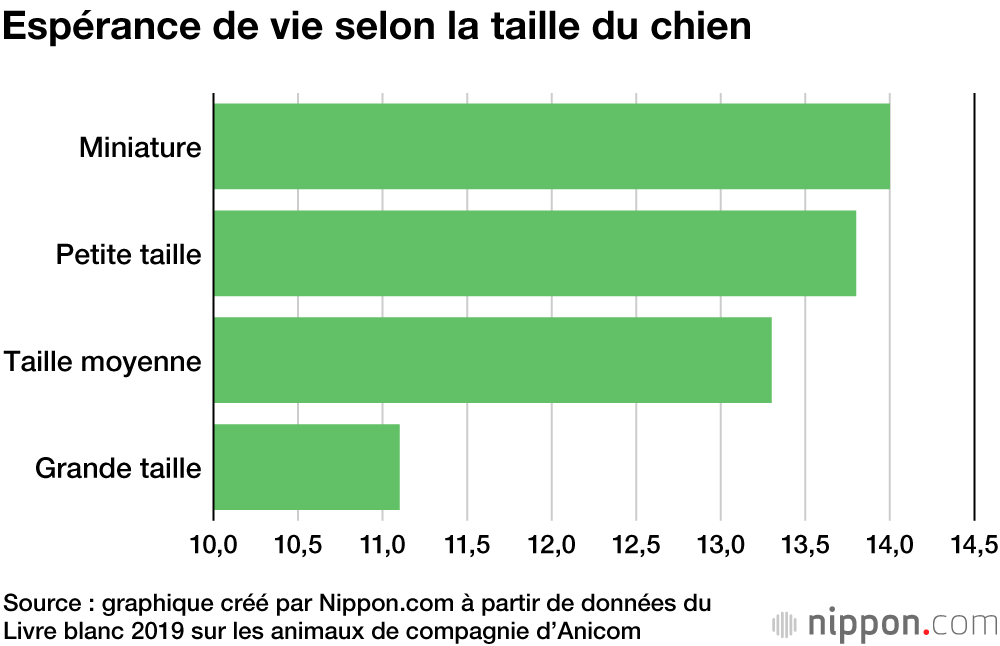 espérance de vie du chien