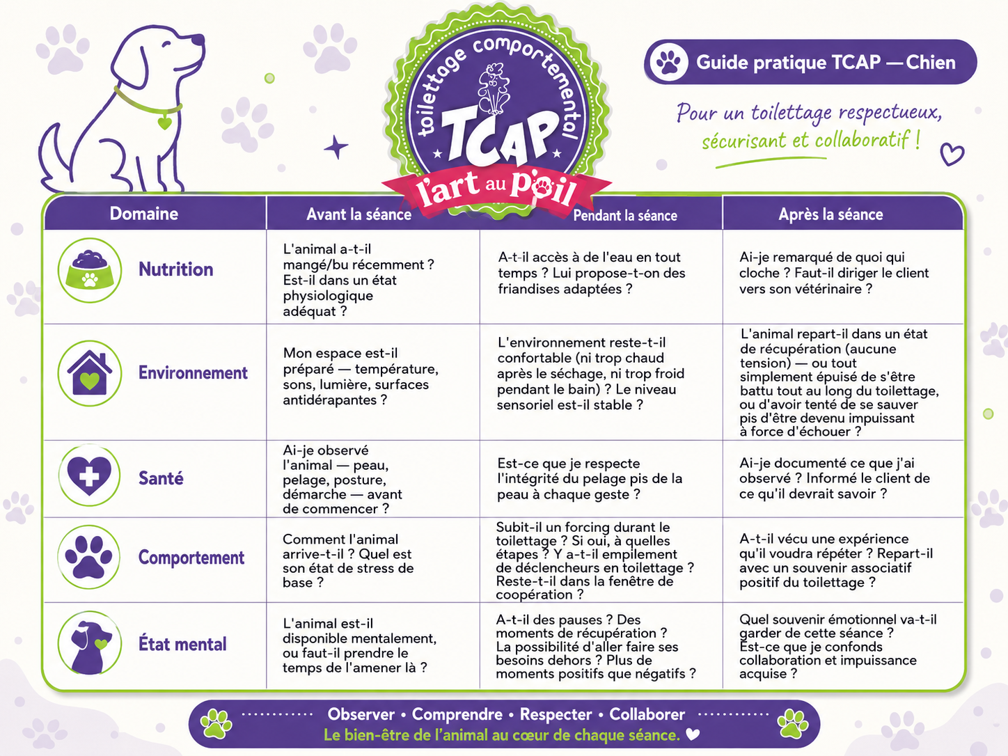Guide d'&eacute;valuation et am&eacute;lioration TCAP chien