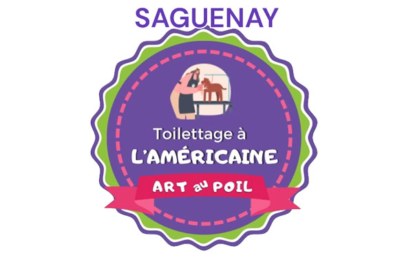 Perfectionnement Ciseaux toilettage à l'Américaine SAGUENAY