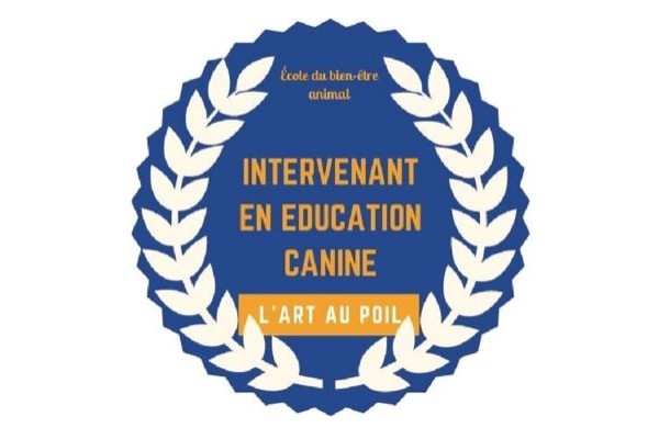 Formation d’Intervenant en comportement canin (éducateur canin)