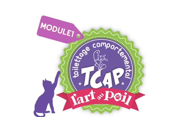 TCAP FÉLIN- Toilettage Comportemental TCAP Félin Module 1